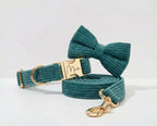 D&D Paws Collar + Leash + Bowtie / XS Dark Green Corduroy Set