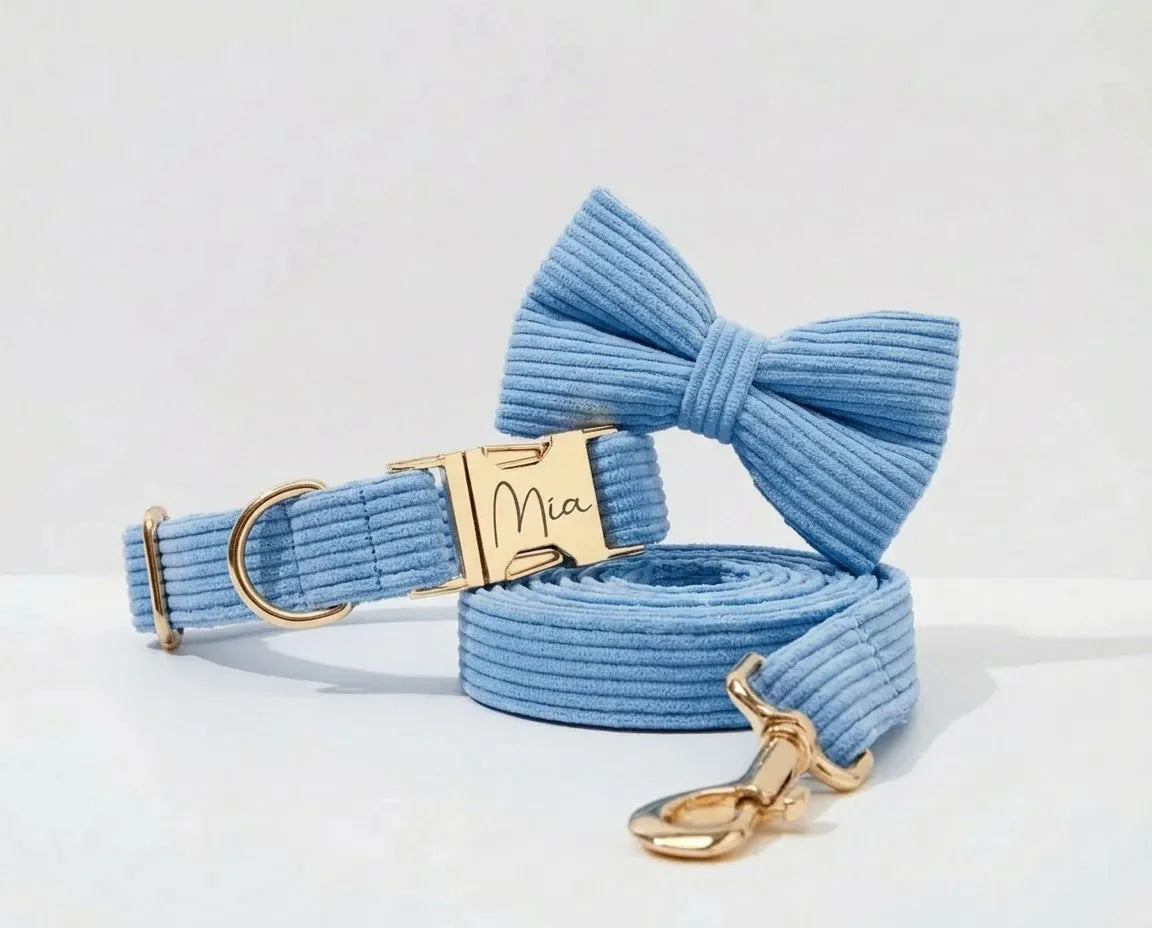 D&D Paws Blue Corduroy Set