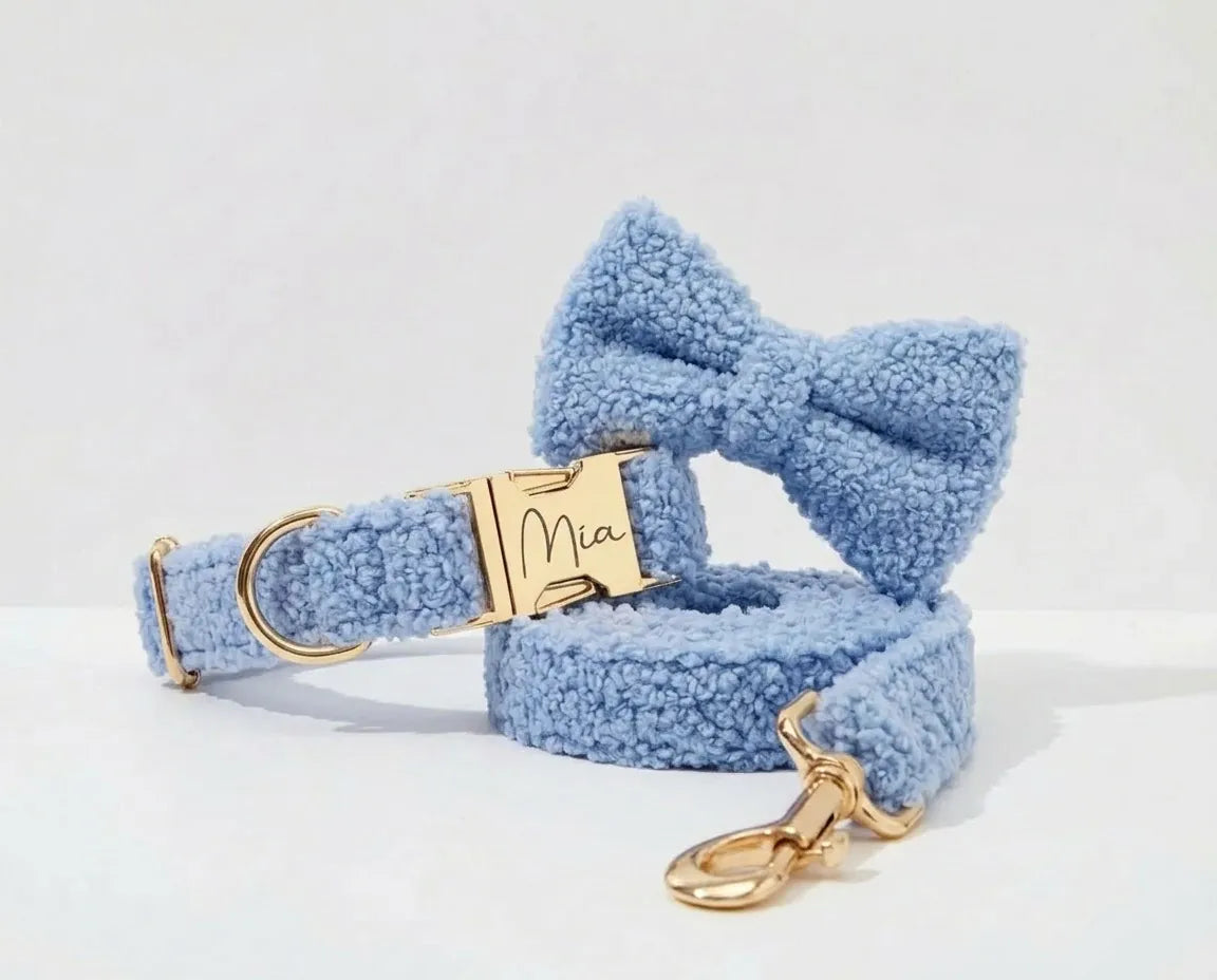 D&D Paws Light Blue Teddy Set