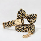 Brown Leopard Velvet Set