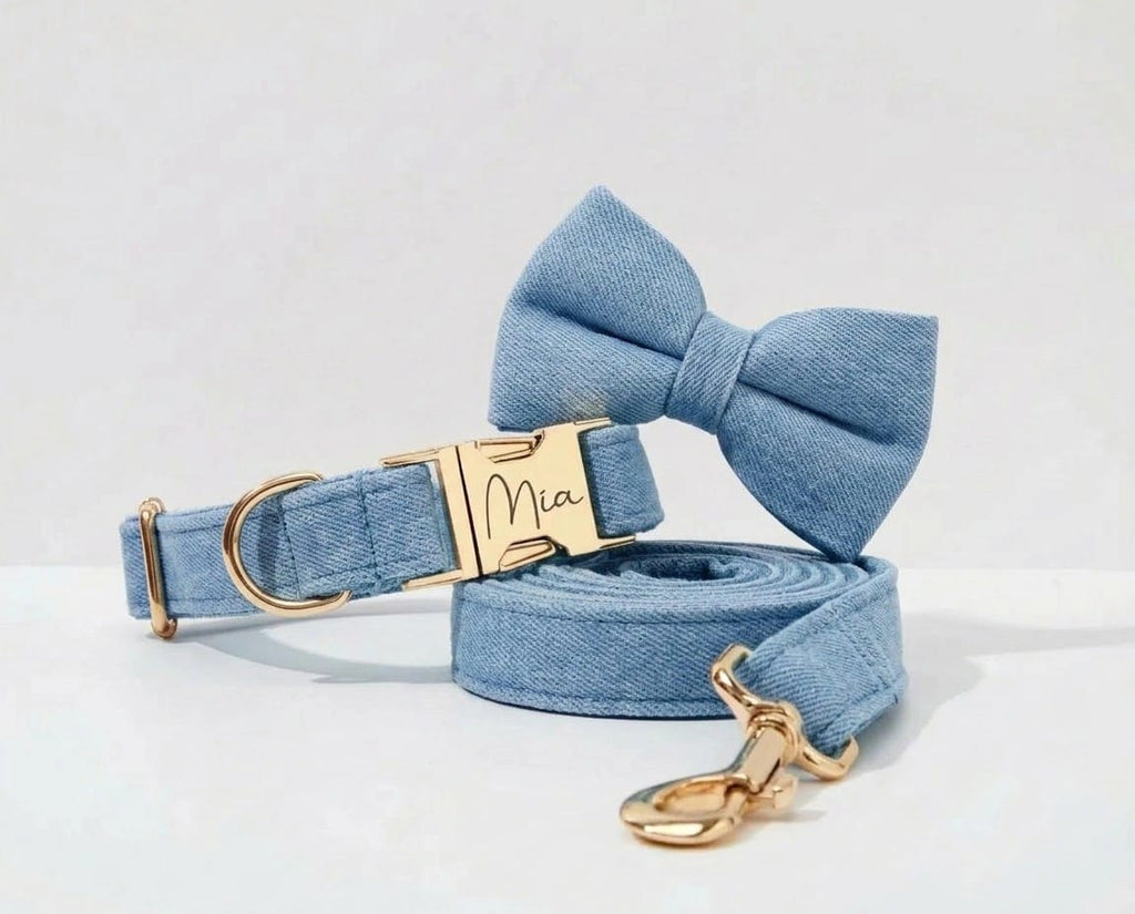D&D Paws Blue Denim Set