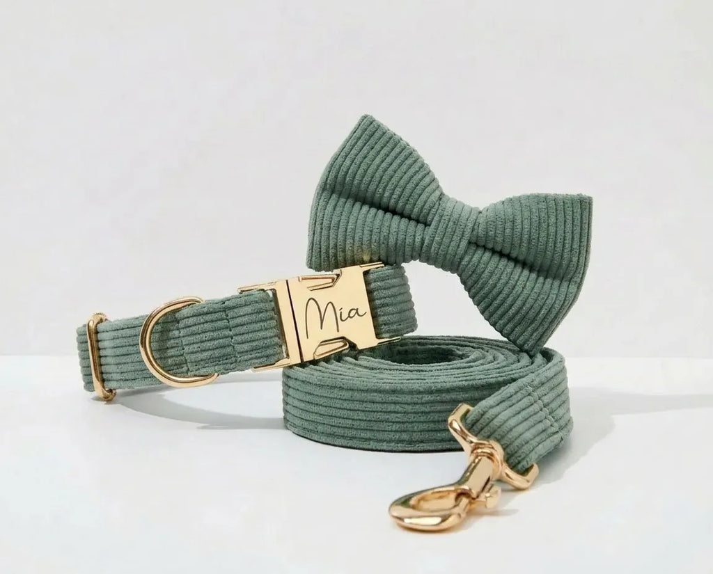 D&D Paws Dark Green Corduroy Set