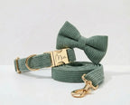 D&D Paws Dark Green Corduroy Set