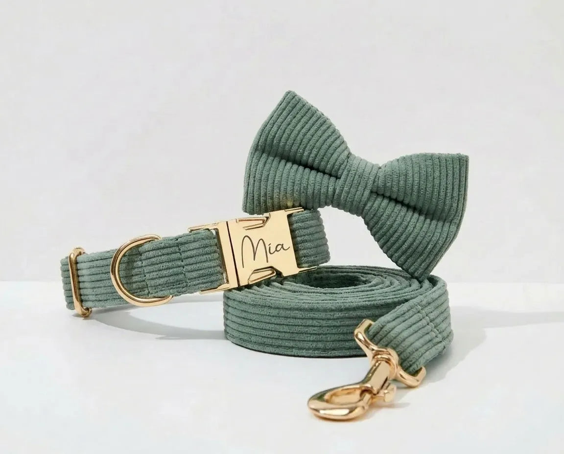 D&D Paws Dark Green Corduroy Set