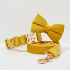 Yellow Velvet Collar Leash Set