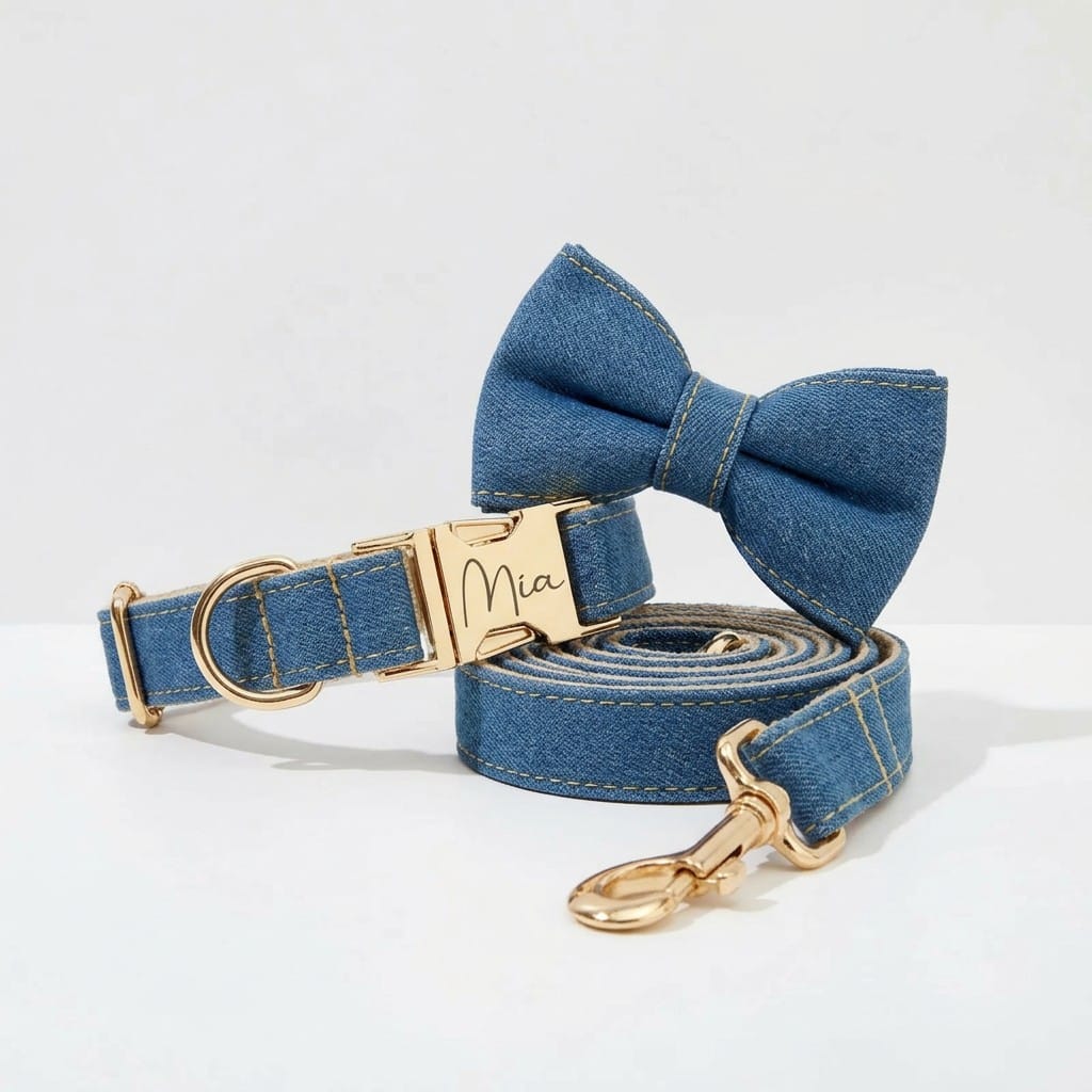 D&D Paws Blue Denim Set