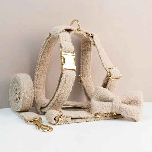 D&D Paws  Collar + Harness + Leash + Bowtie / XS Beige Teddy Set