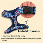 D&D Paws Designed Navy Retrol Floral Dog Vest Set