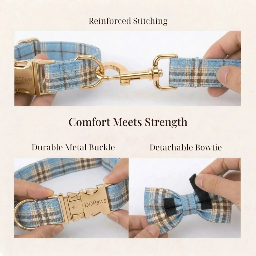 Designed Blue Brown Plaid Dog Vest Set