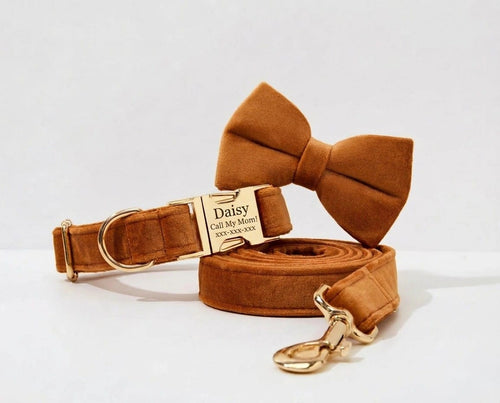 D&D Paws Collar + Leash + Bowtie / XS Ancient Pottery Velvet Set
