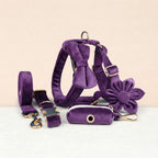 D&D Paws  Velvet Purple Set