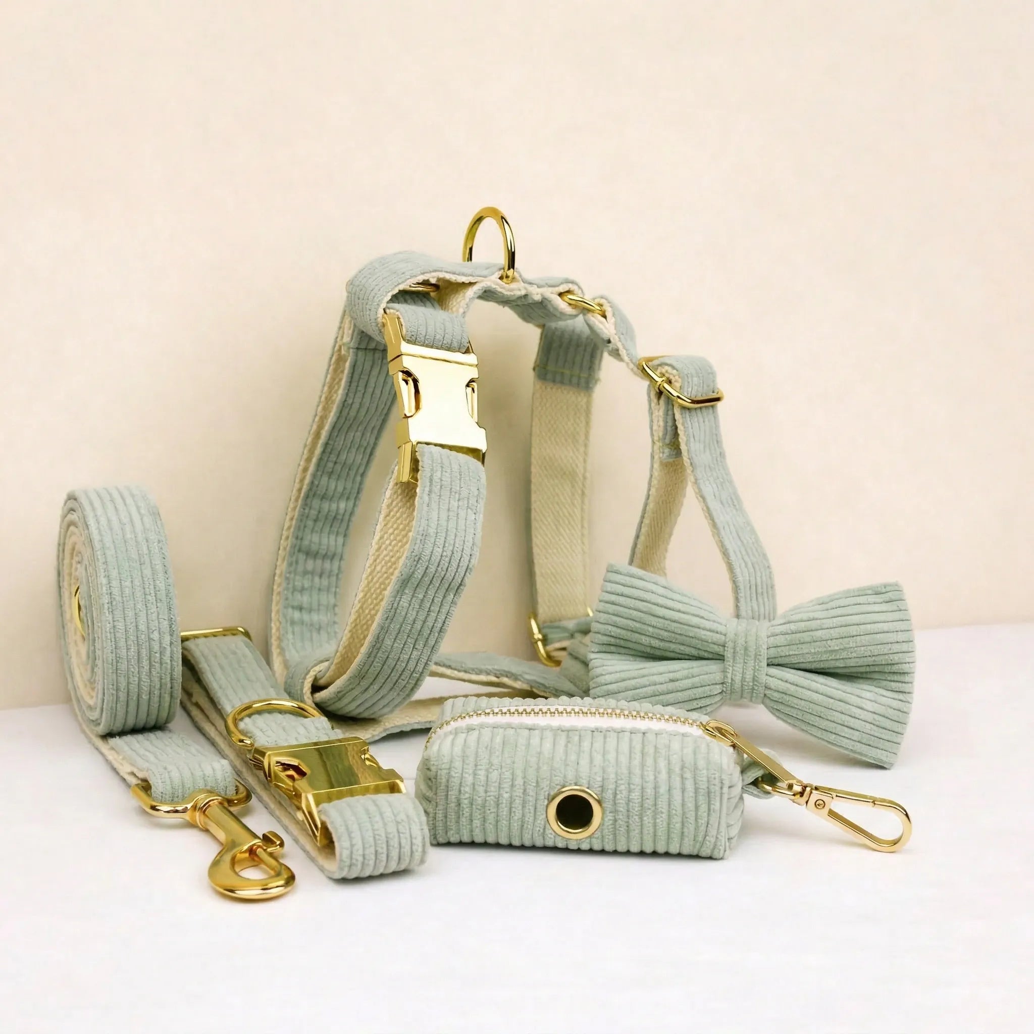 D&D Paws  Light Green Corduroy Set