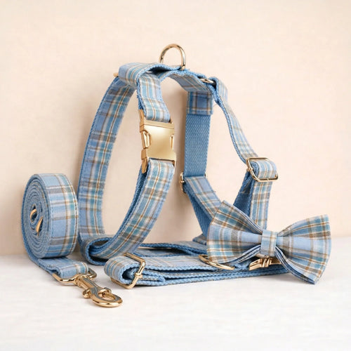 D&D Paws  Blue Plaid Set