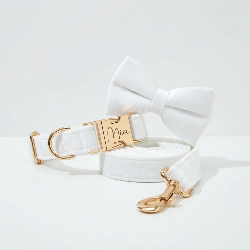 White Wedding Velvet Collar Leash Set