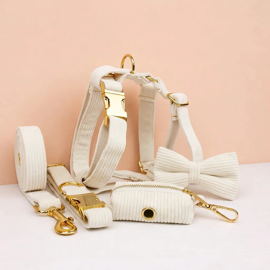 D&D Paws  White Corduroy Set