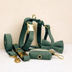 D&D Paws  Dark Green Corduroy Set