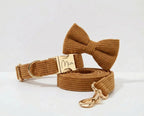 D&D Paws Collar + Leash + Bowtie / XS Caramel Corduroy Set