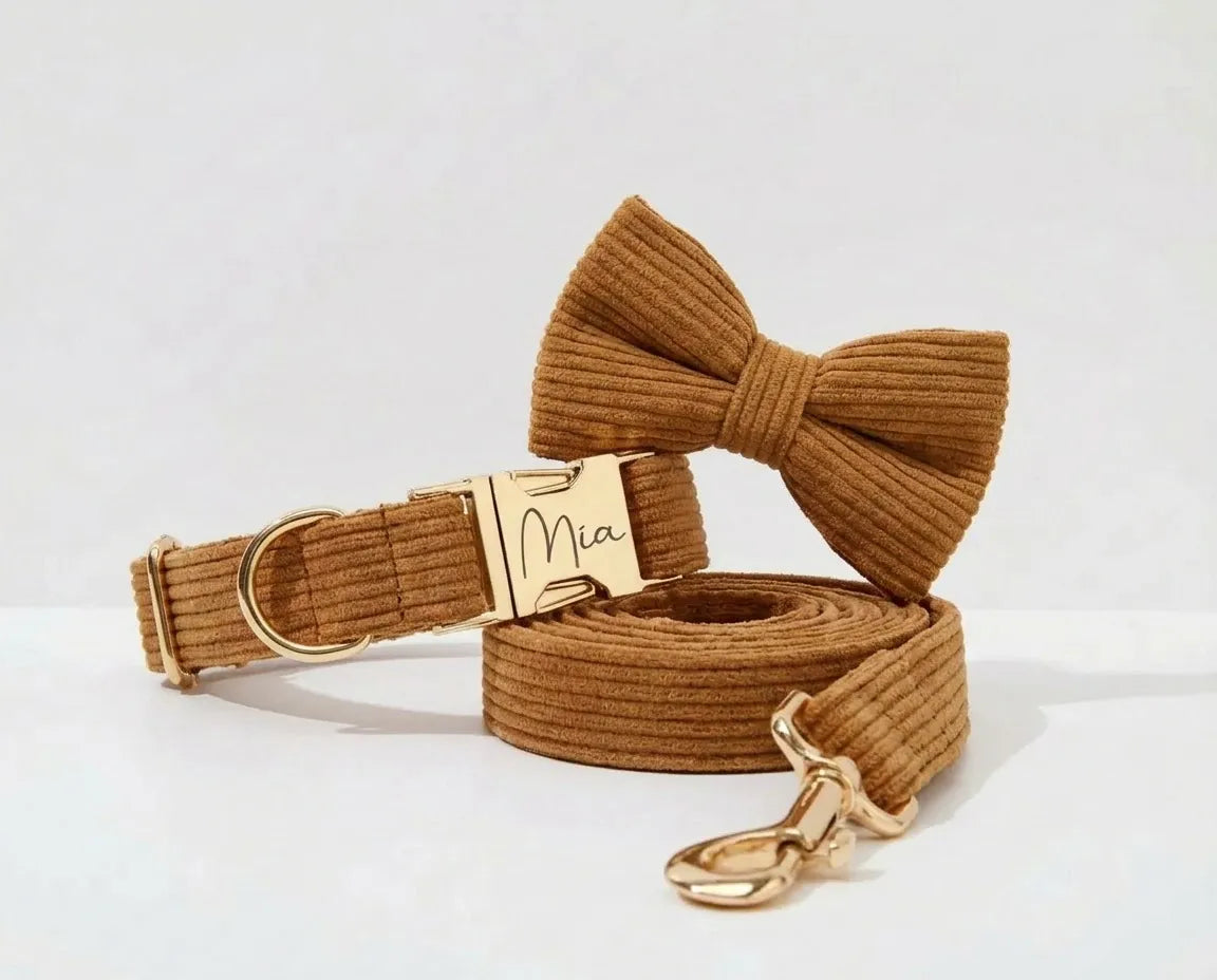 D&D Paws Collar + Leash + Bowtie / XS Caramel Corduroy Set