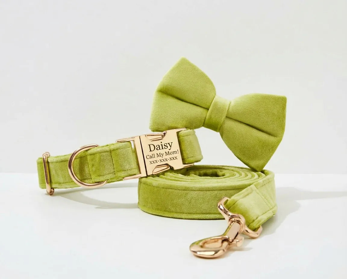 DDPaws Collar + Leash + Bowtie / XS Avocado Velvet Set