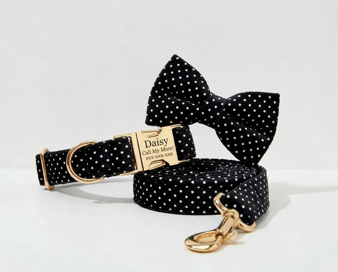 D&D Paws Collar + Leash + Bowtie / XS Black Polka Dot Print Set