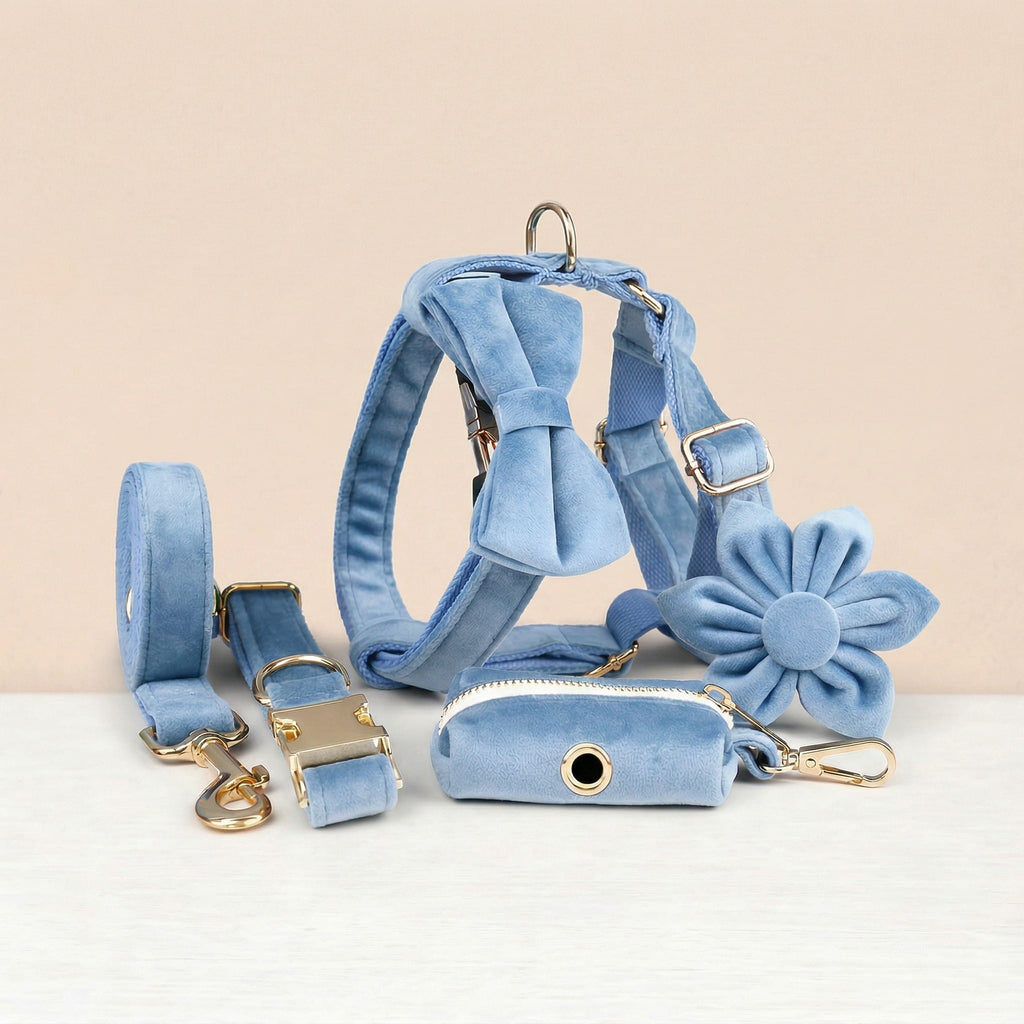 D&D Paws  Blue Velvet Set
