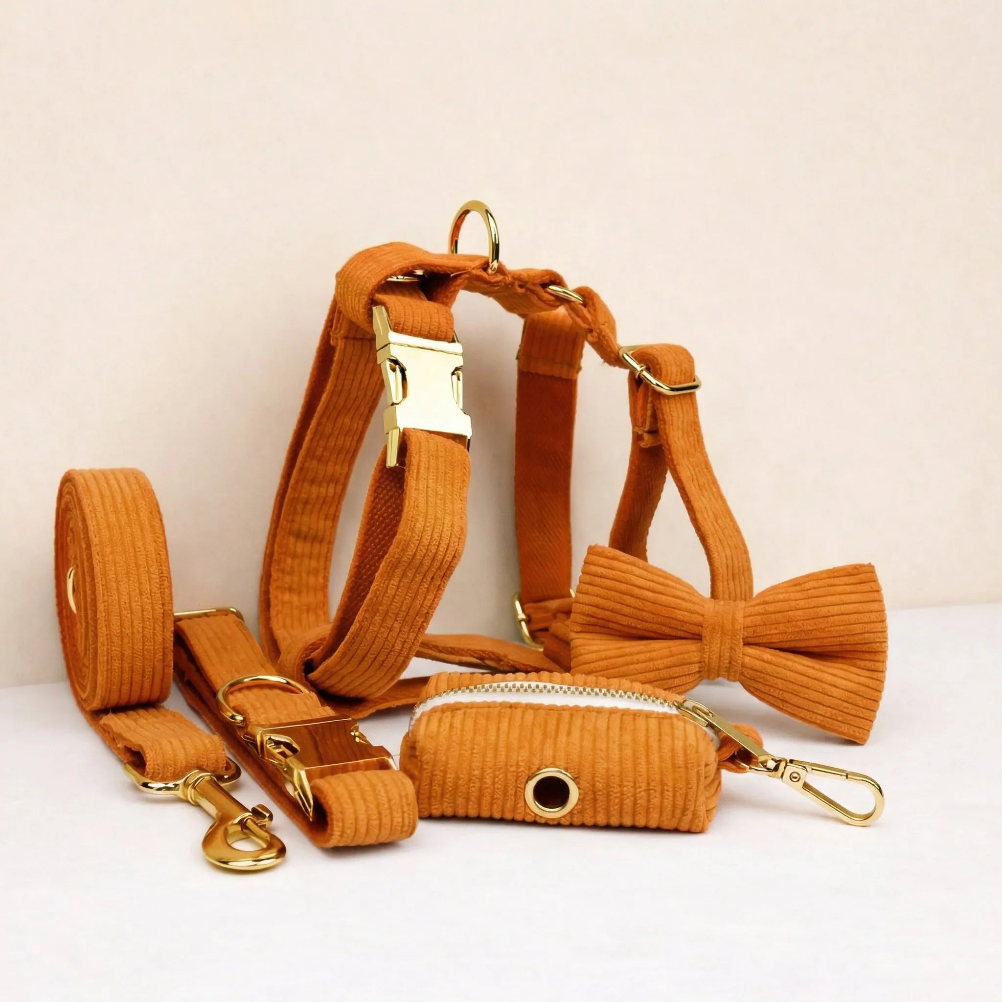 D&D Paws  Orange Corduroy Set