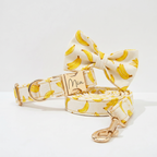 Banana Print Cotton Collar Leash Set