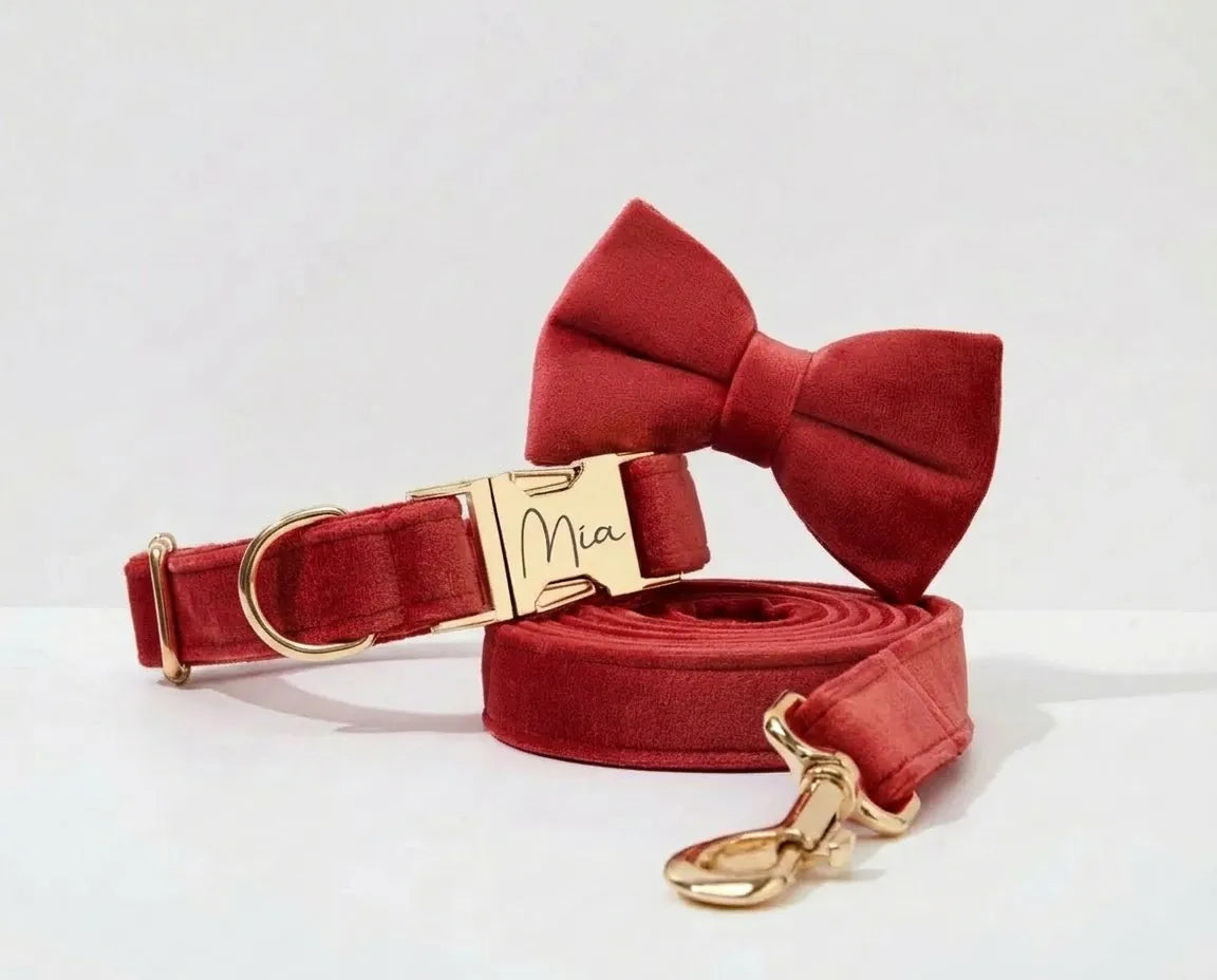 DDPaws Collar + Leash + Bowtie / XS Crimson Red Velvet Set