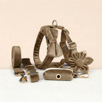 D&D Paws  Shallow Khaki Velvet Set