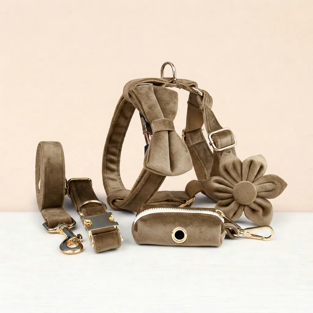 D&D Paws  Shallow Khaki Velvet Set