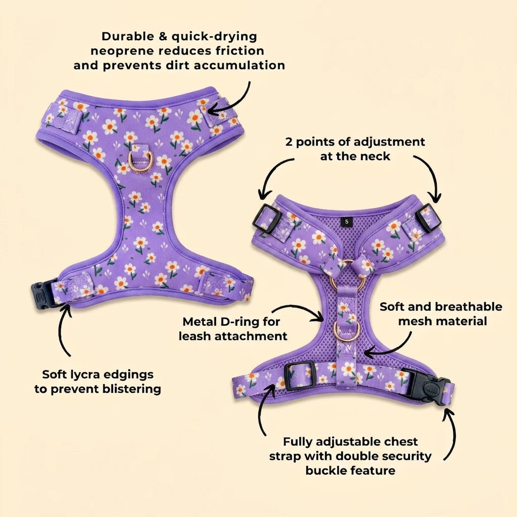 Designed Purple Daisy Dog Vest Set