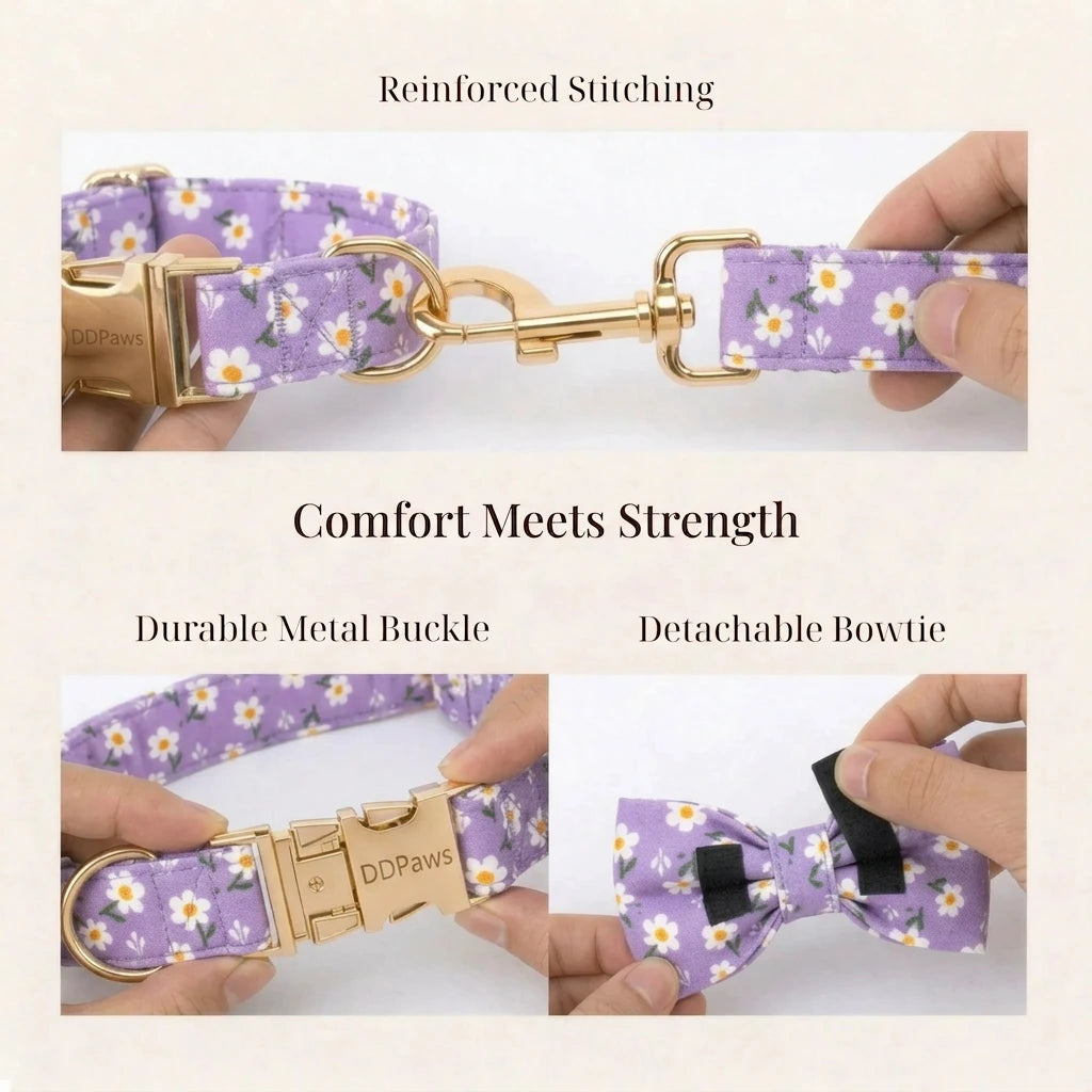 Designed Purple Daisy Dog Vest Set