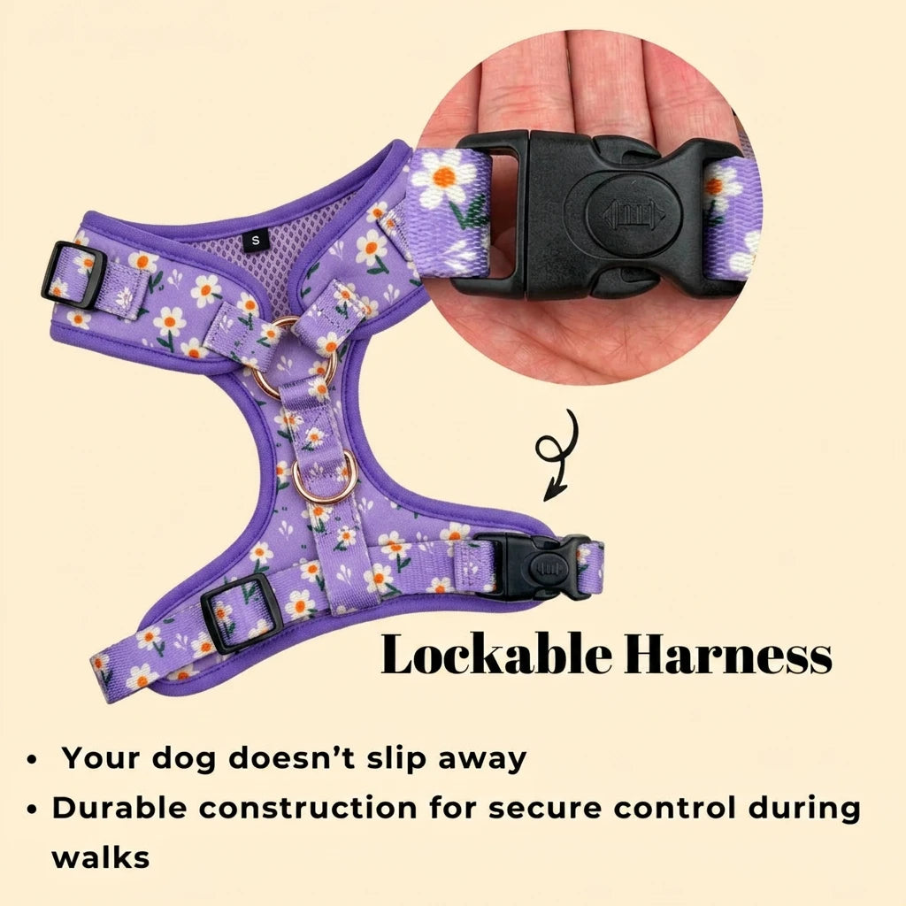Designed Purple Daisy Dog Vest Set