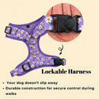 Designed Purple Daisy Dog Vest Set