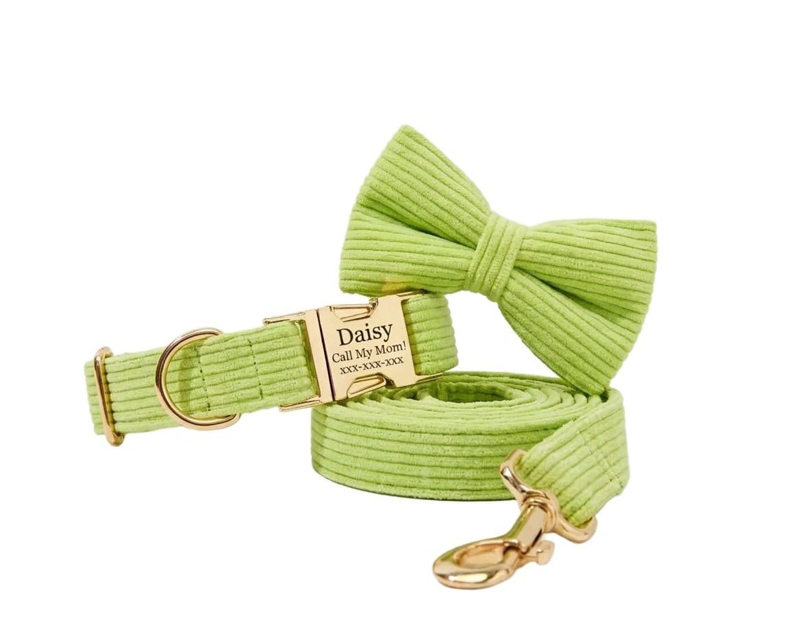D&D Paws Collar + Leash + Bowtie / XS Apple Green Corduroy Set