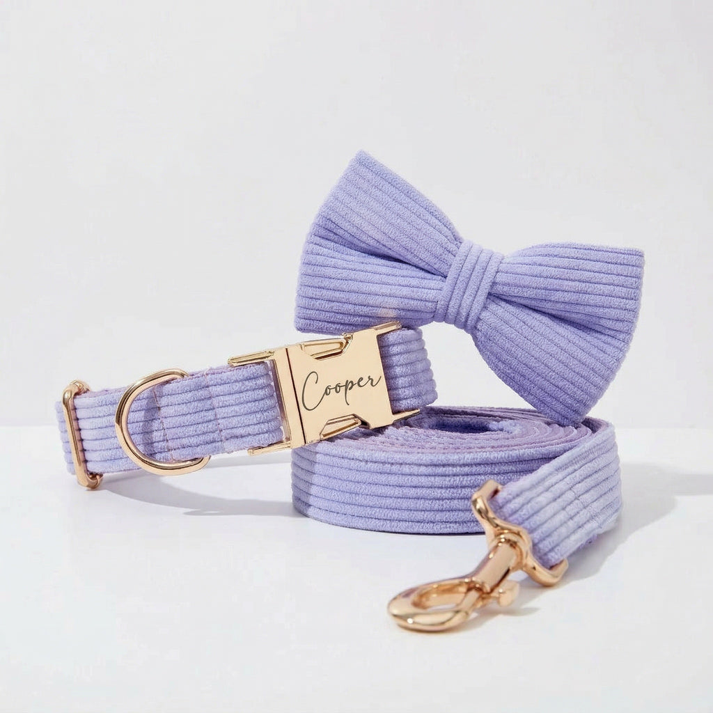 Purple Corduroy Collar Leash Set
