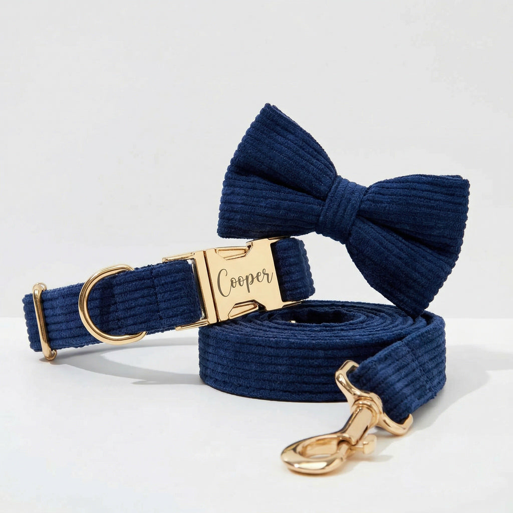 Purplish Blue Corduroy Collar Leash Set