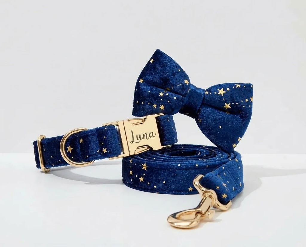 D&D Paws Dark Blue Velvet Set