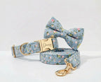 D&D Paws Dusty Blue Floral Set