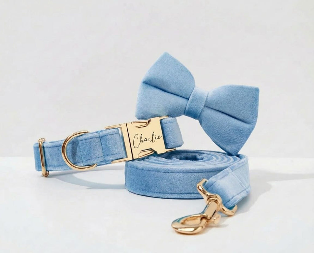 D&D Paws Blue Velvet Set