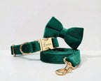 D&D Paws Green Velvet Set