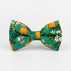 D&D Paws Bowtie Designed Floral Dog Vest Set