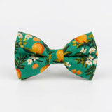 Bowtie