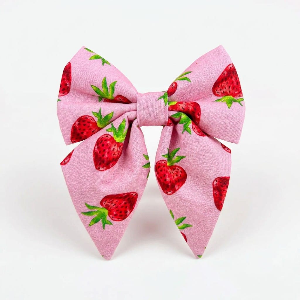 D&D Paws Bowtie Designed Straberry Dog Vest Set
