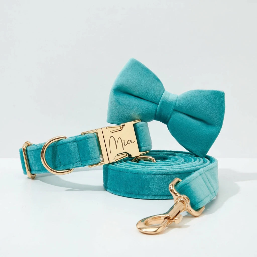 Turquoise Stone Velvet Collar Leash Set