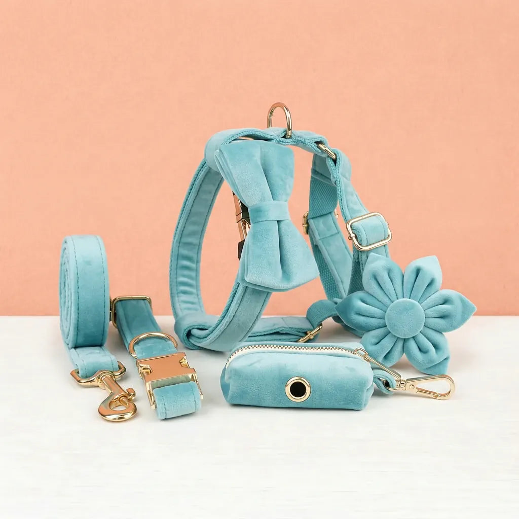 D&D Paws  Turquoise Stone Velvet Set