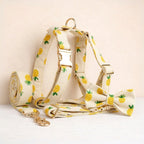 DDPaws  Pineapple Print Cotton Set