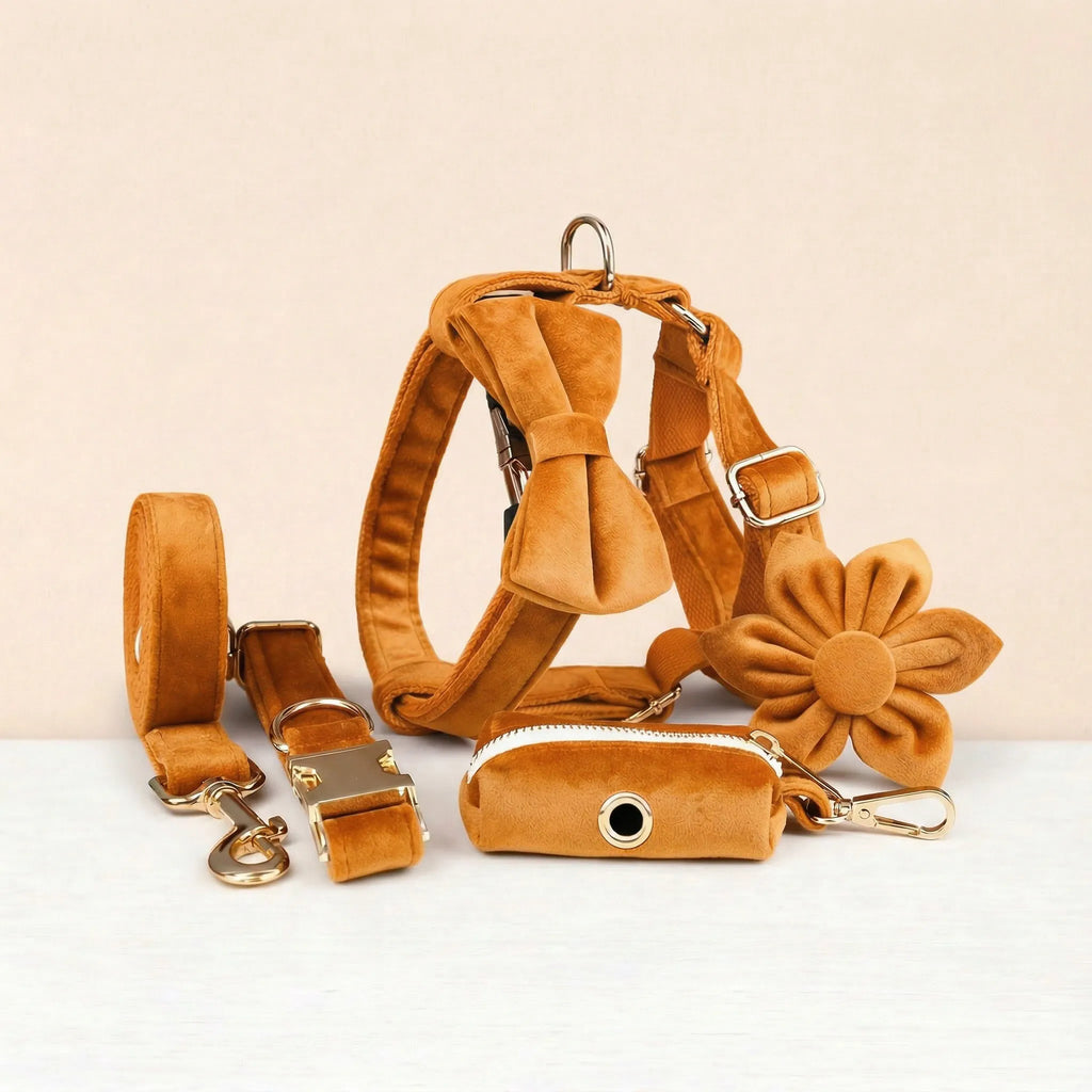D&D Paws  Orange Velvet Set