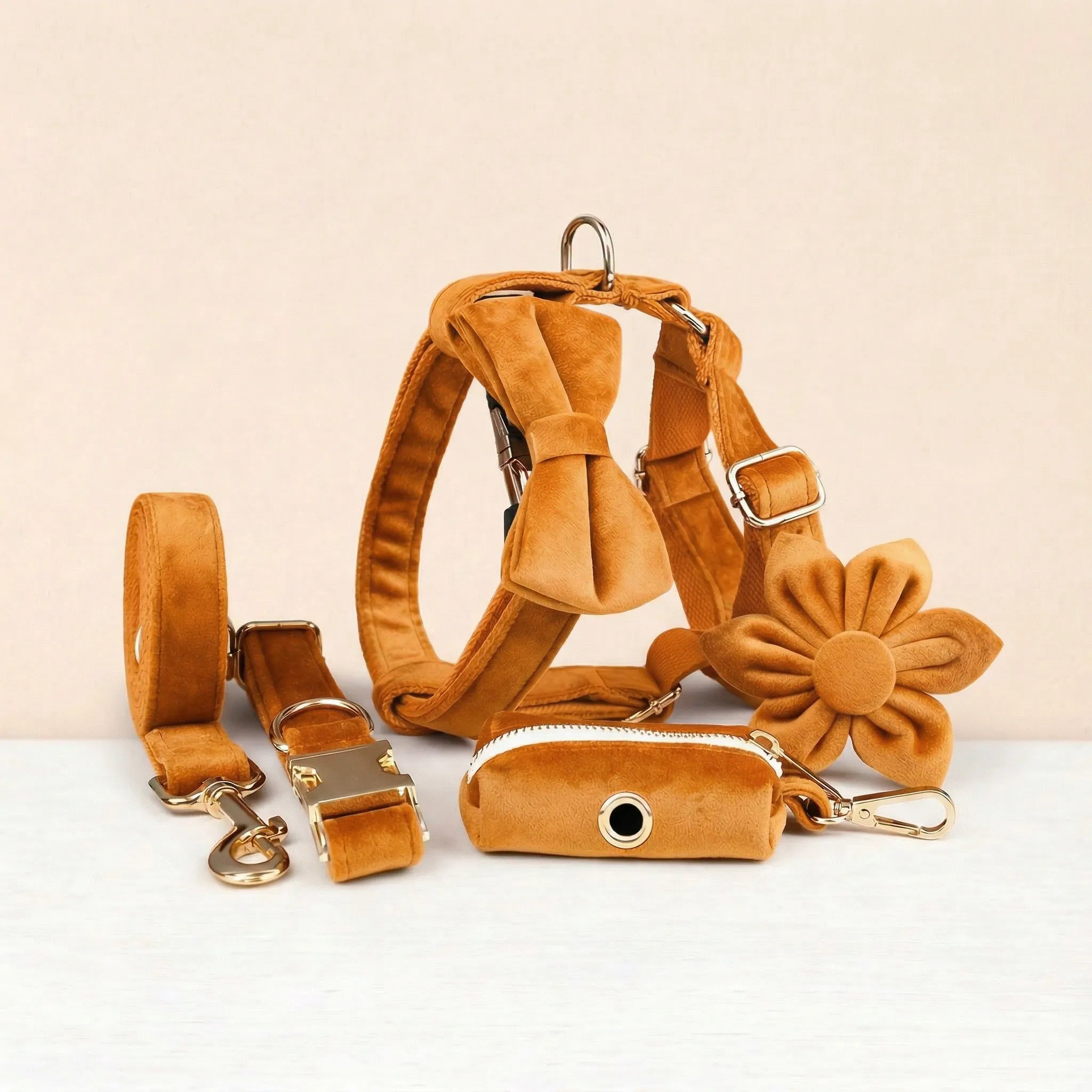 D&D Paws  Orange Velvet Set