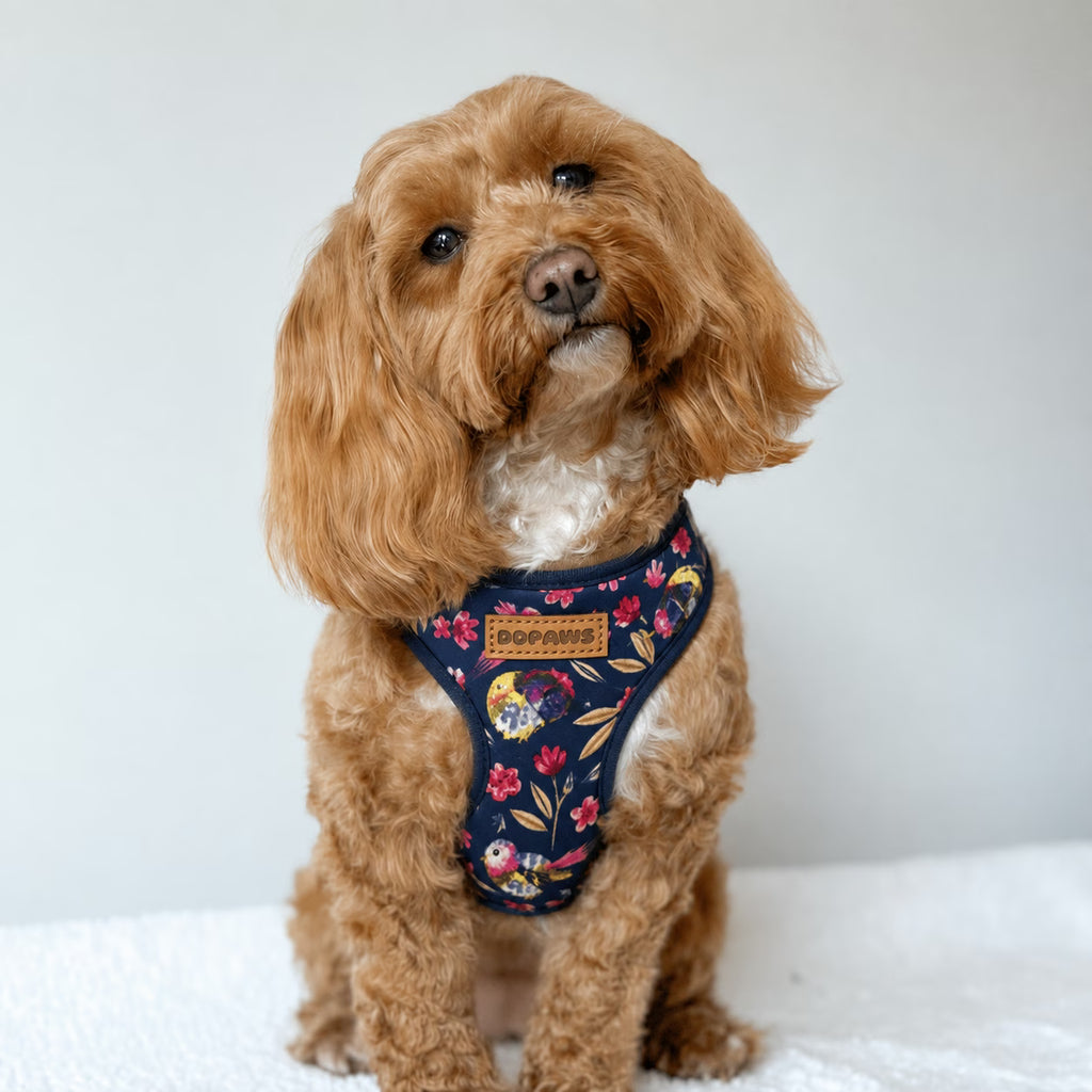Designed Midnight Melody Floral Dog Vest Set